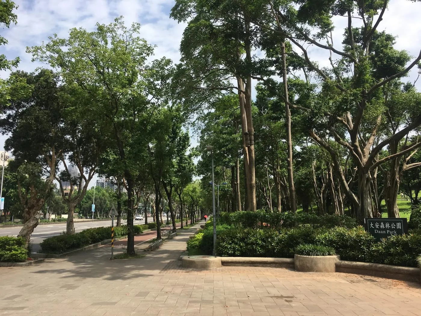 大安森林公園真是個不錯的練跑地點